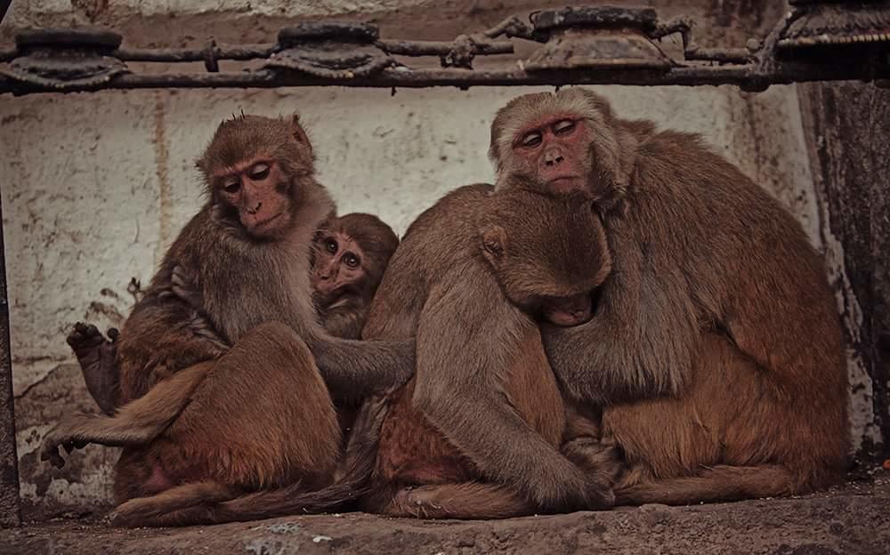 Ganga Paying Varanasi